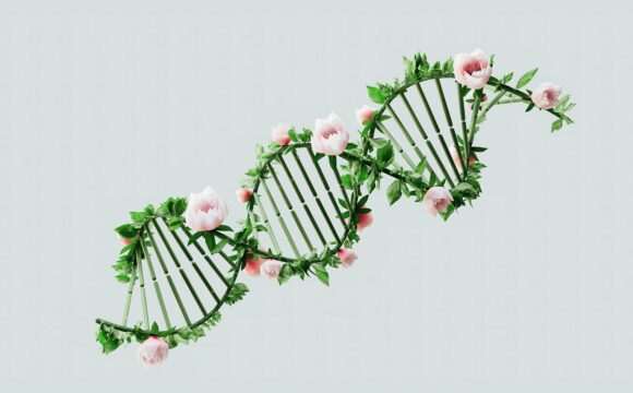 DNA Testing & Medical Exams